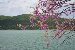 Геленджик — уютный курорт для поездки на море